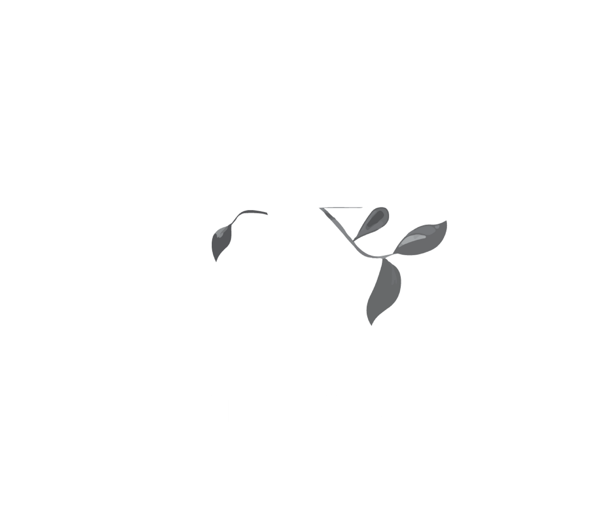 Archana Rao Label