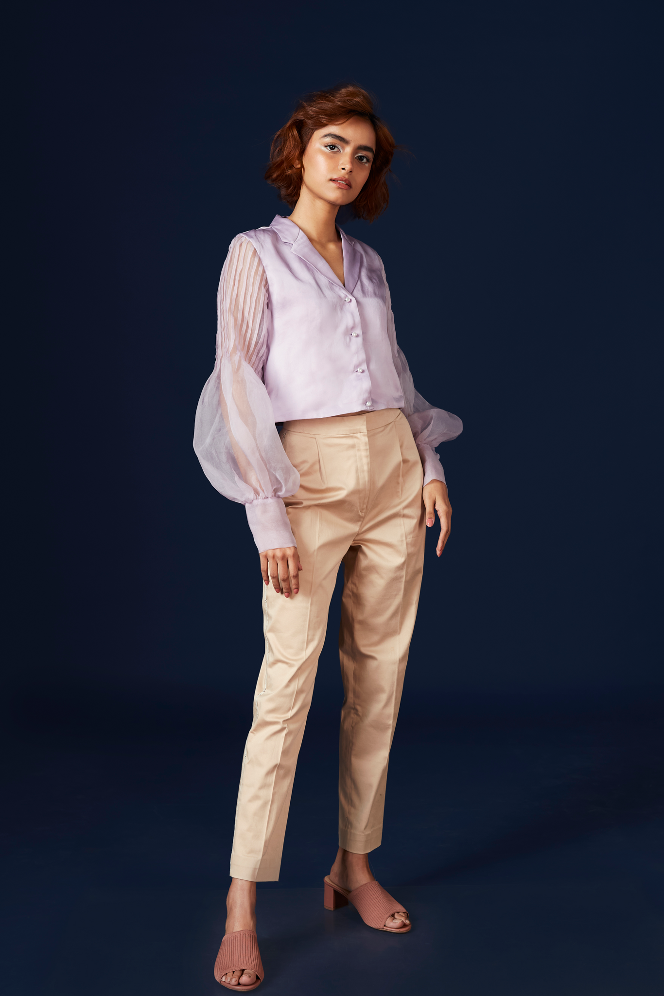 Lavender Sheer Sleeves Crop Top