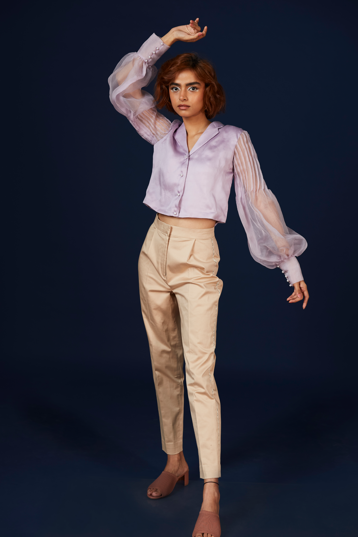 Lavender Sheer Sleeves Crop Top